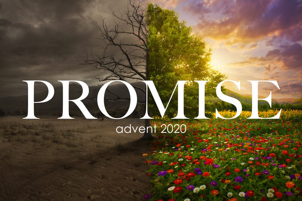 Promise (Advent 2020)