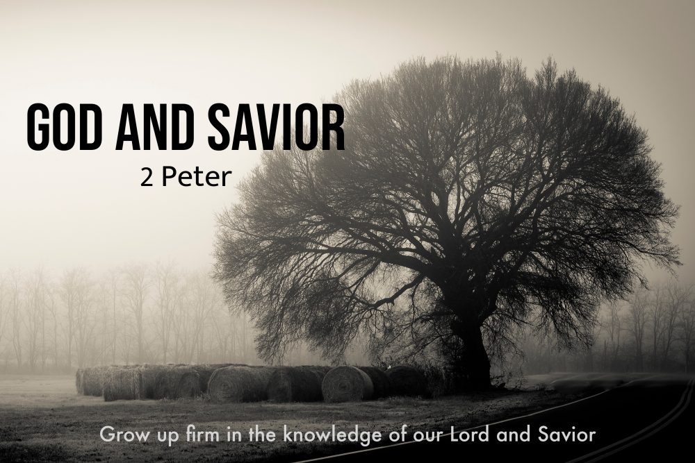 God and Savior
